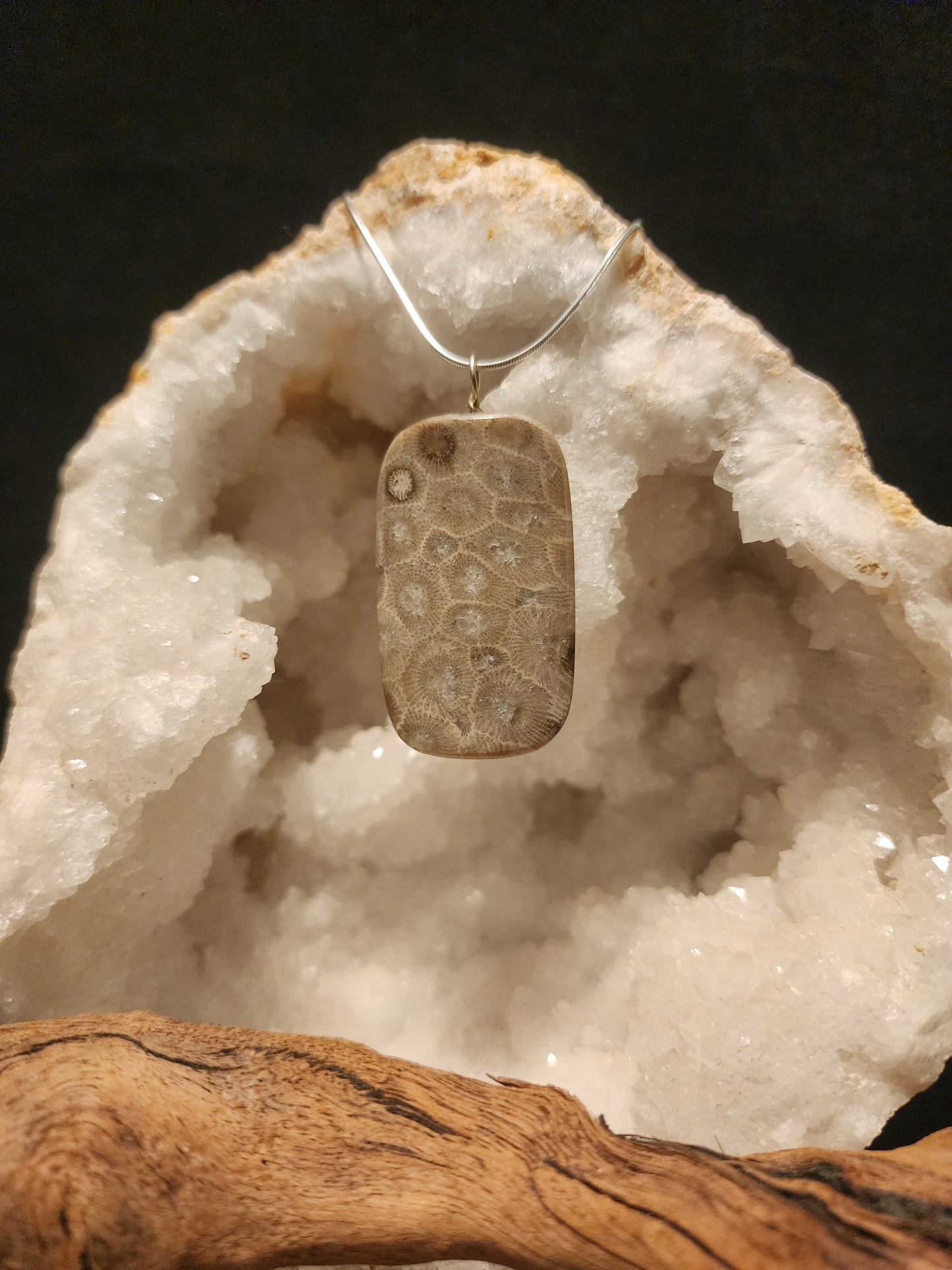 Petoskey Stone Pendant #35