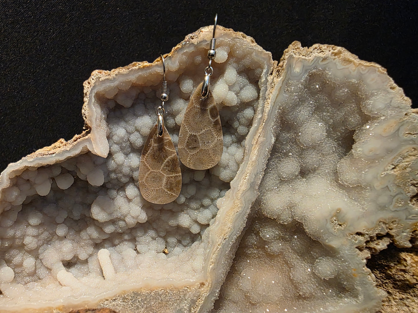 Petoskey Stone Teardrop Earrings #149
