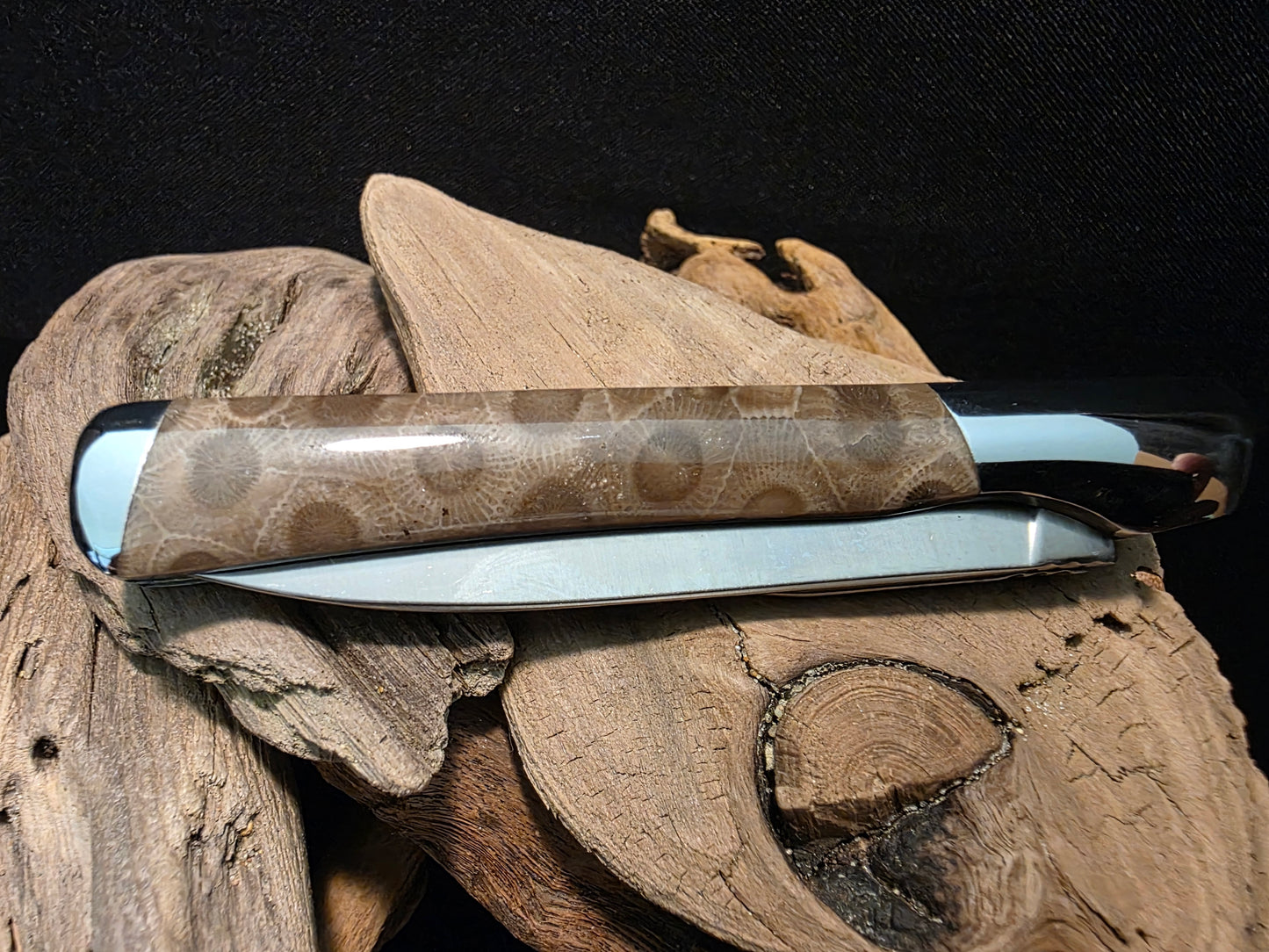 Petoskey Stone Kershaw Allegory Folding Pocket Knife (Model 4385) #203