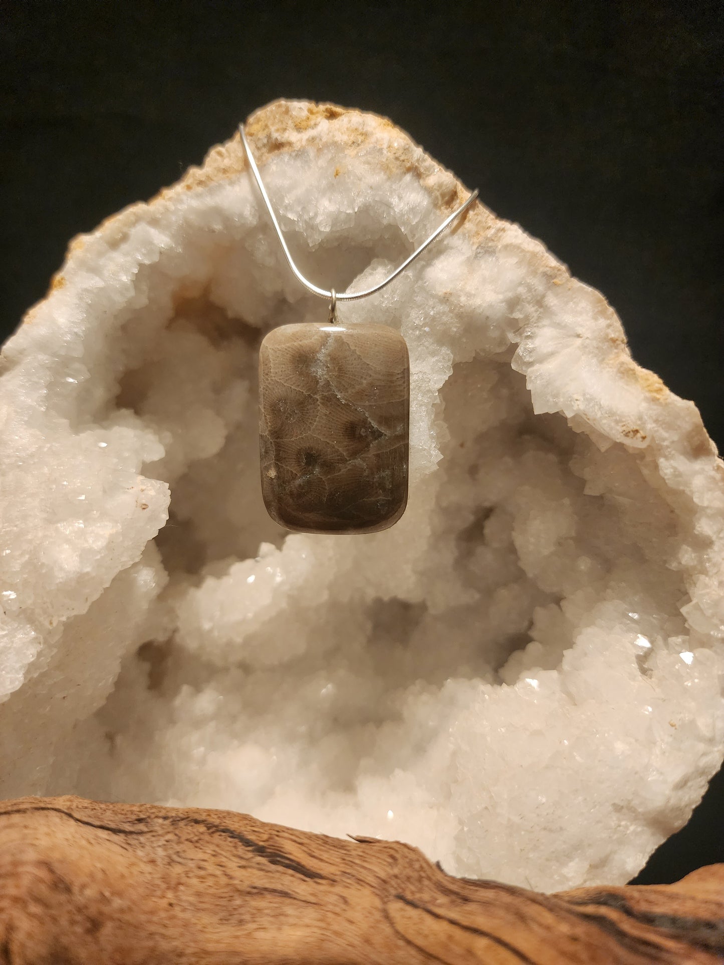 Petoskey Stone Pendant #39