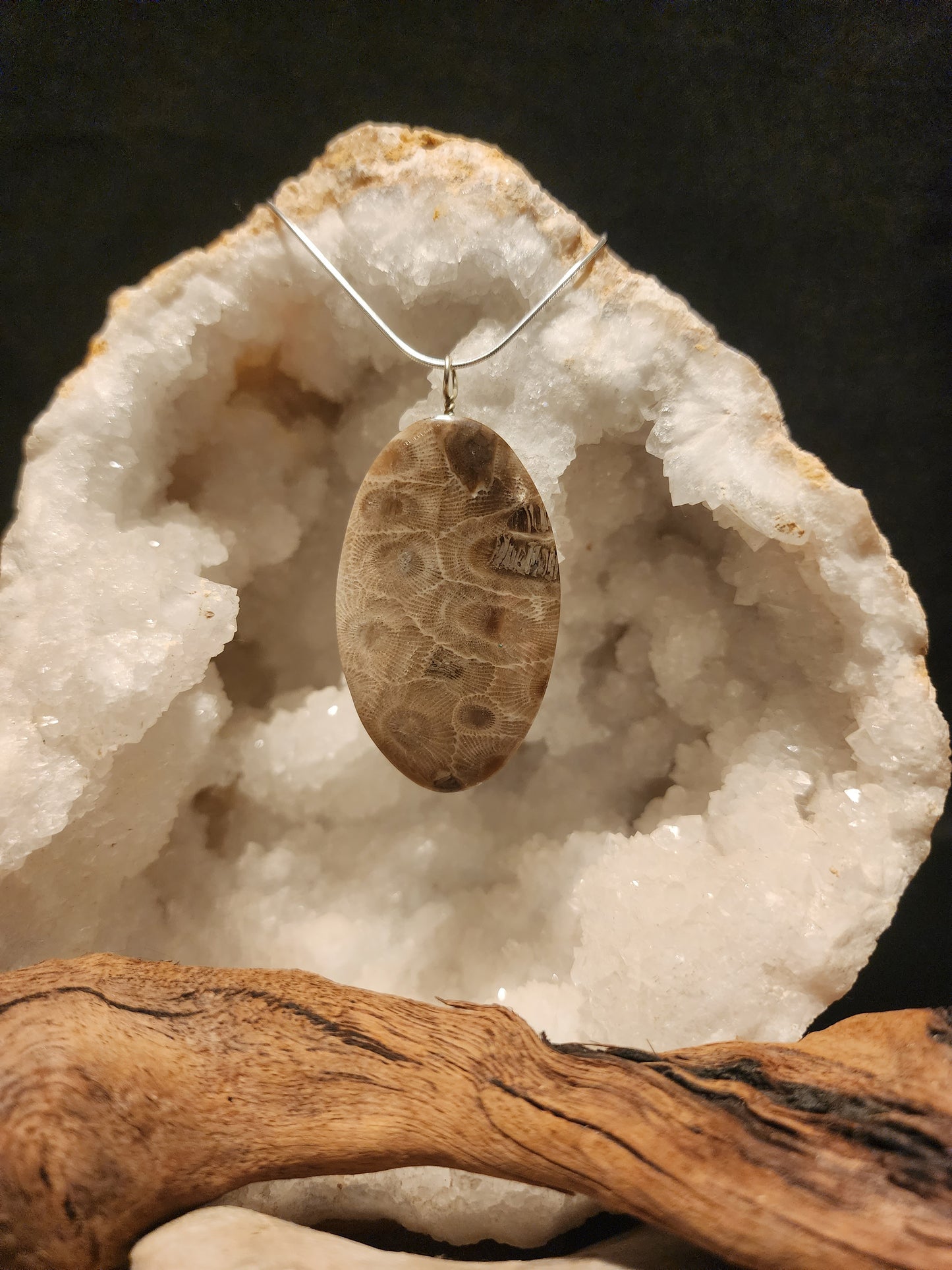 Petoskey Stone Pendant #31