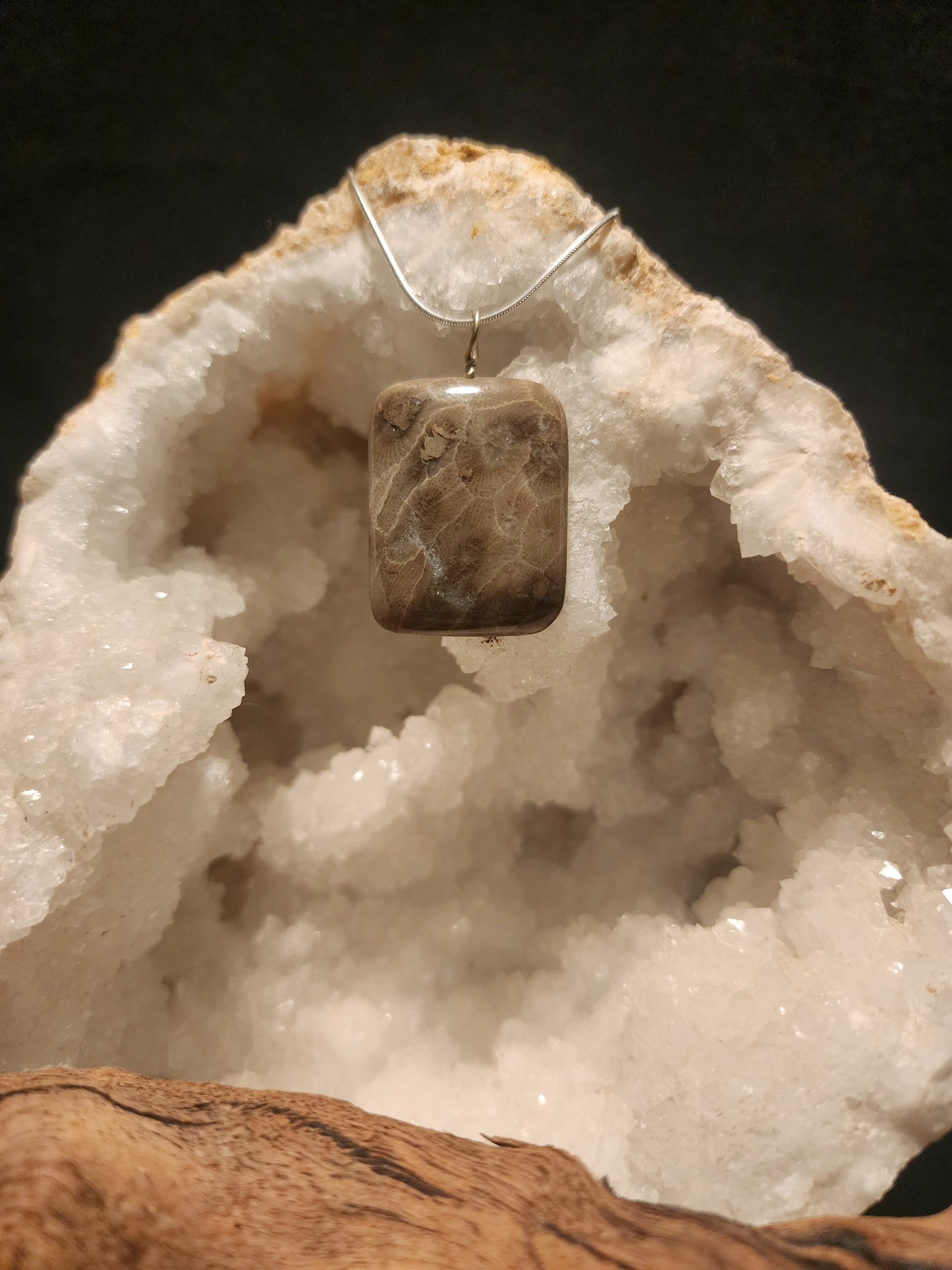 Petoskey Stone Pendant #40