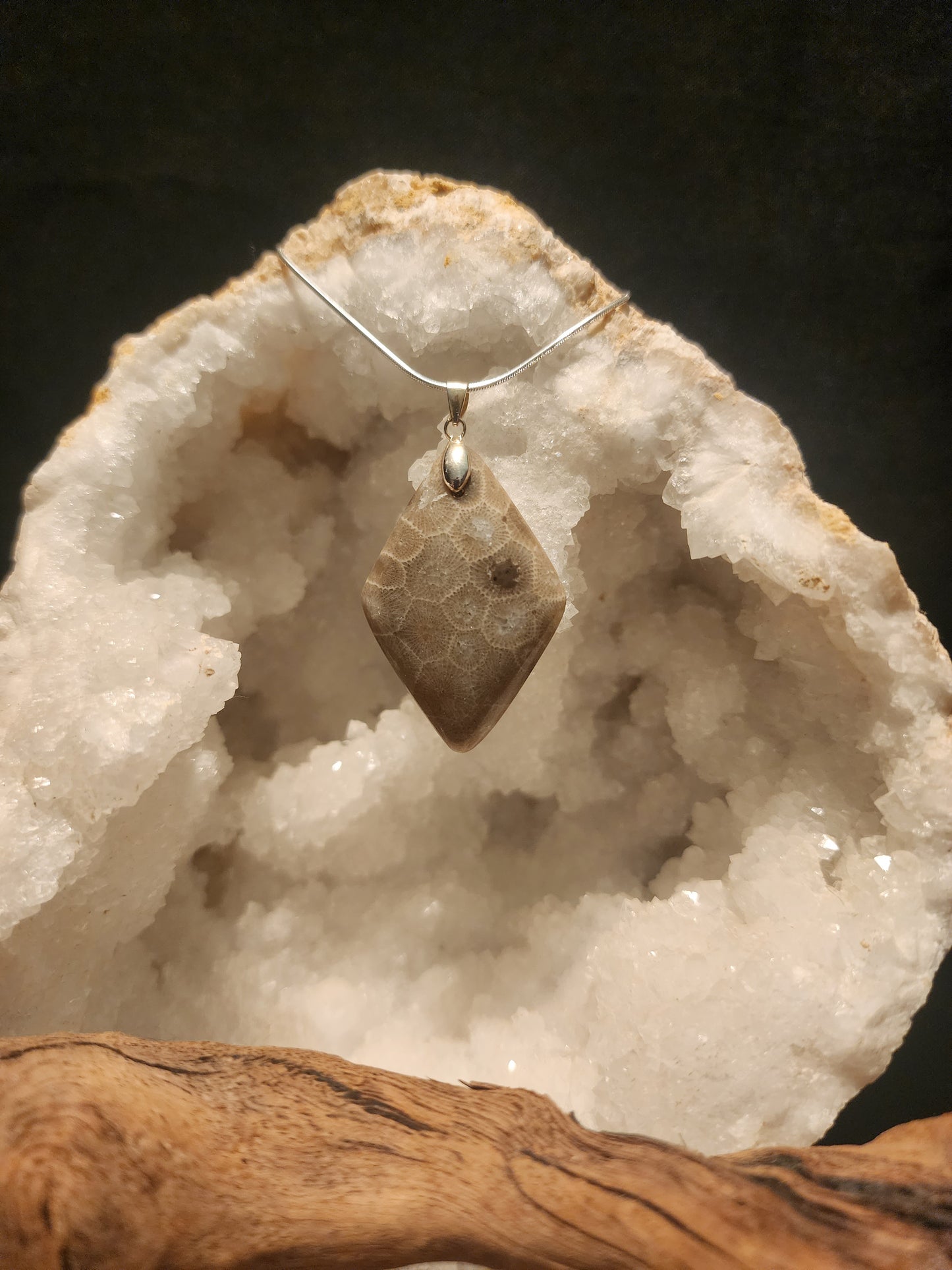 Petoskey Stone Pendant #37