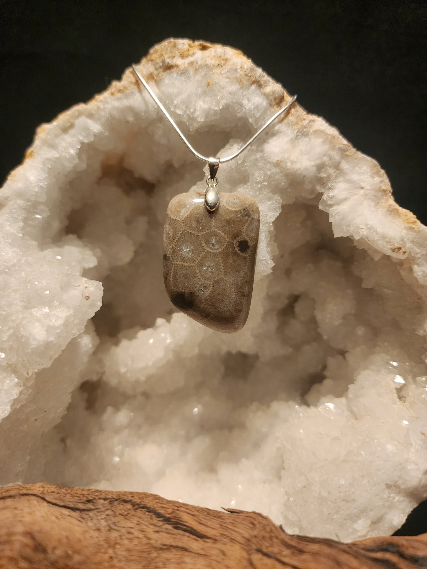 Petoskey Stone Pendant #41