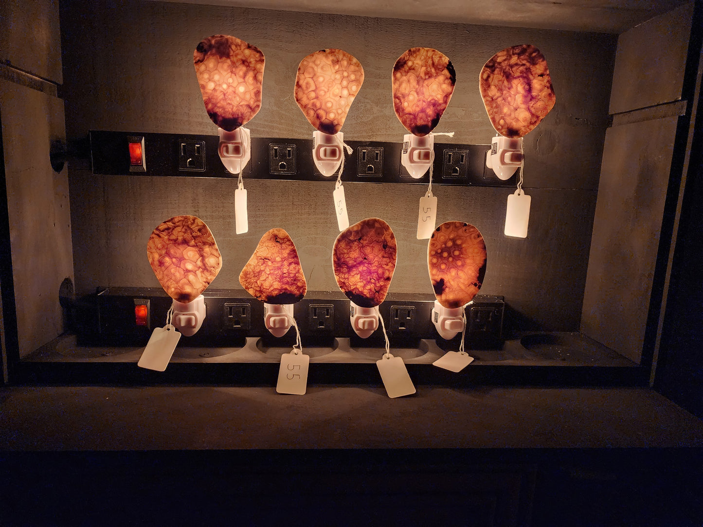 Petoskey Stone Night Light #133