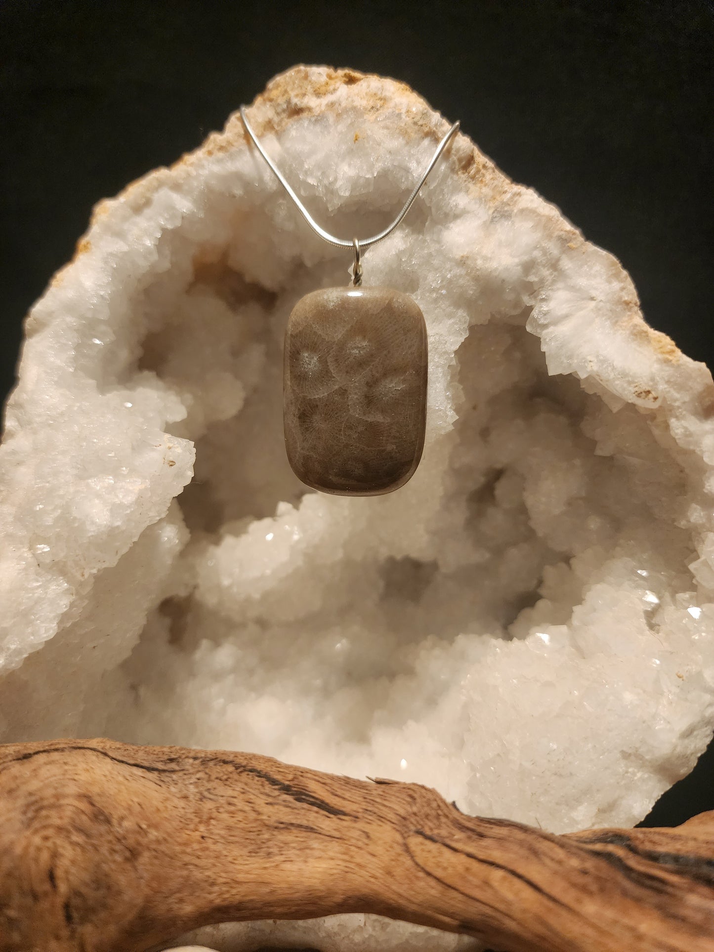 Petoskey Stone Pendant #38
