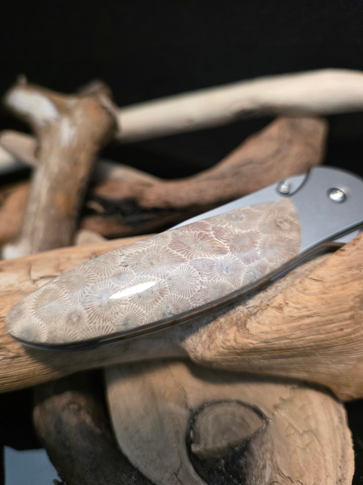 Petoskey Stone Kershaw Leek Folding Pocket Knife(Model 1660) #231
