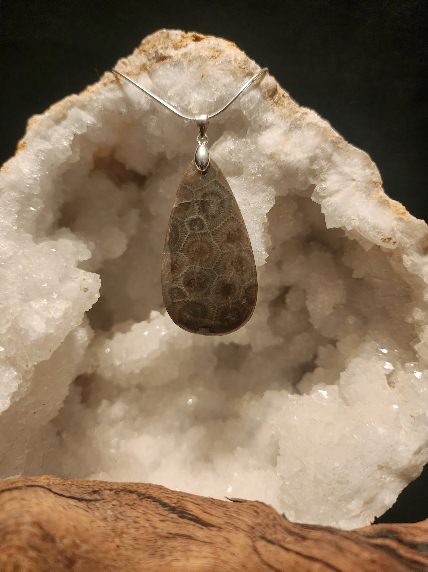Petoskey Stone Pendant #47