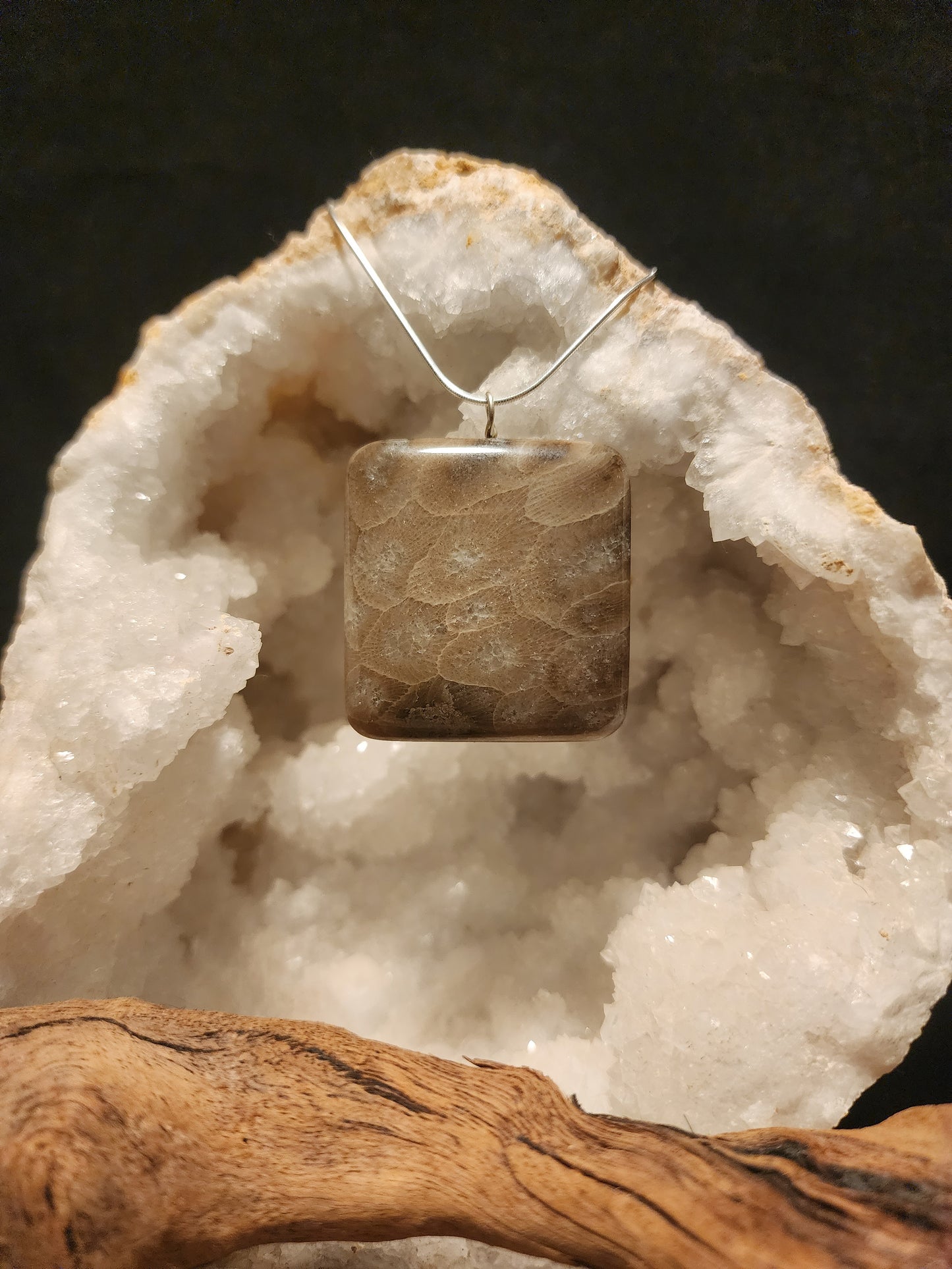 Petoskey Stone Pendant #32
