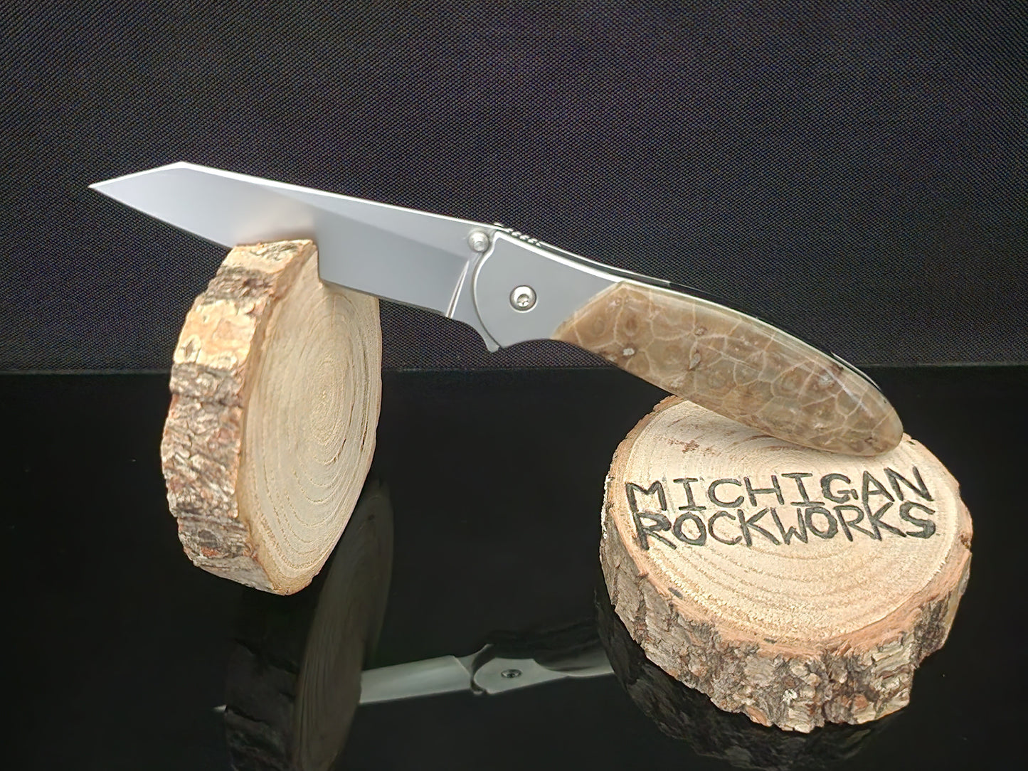 Petoskey Stone Kershaw Random 1660 #9