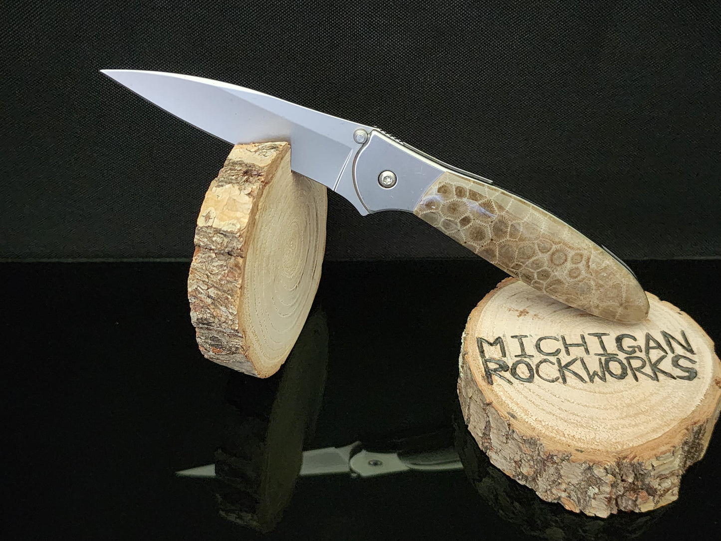 Petoskey Stone Kershaw Leek 1660 Pocket Knife #1