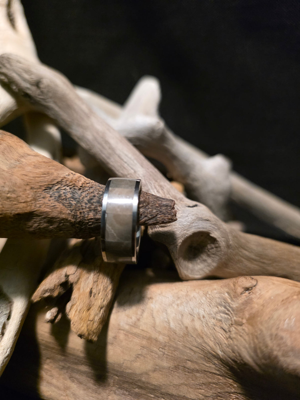 Petoskey Stone Titanium Channel Inlay Ring (Size 7) #253