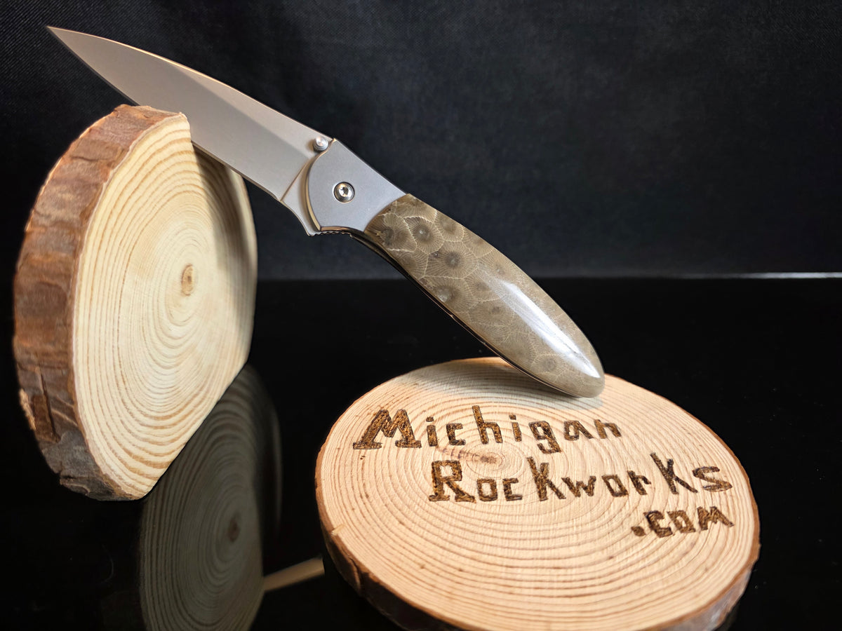 Petoskey Stone Kershaw Leek Folding Pocket Knife (Model 1660) #269