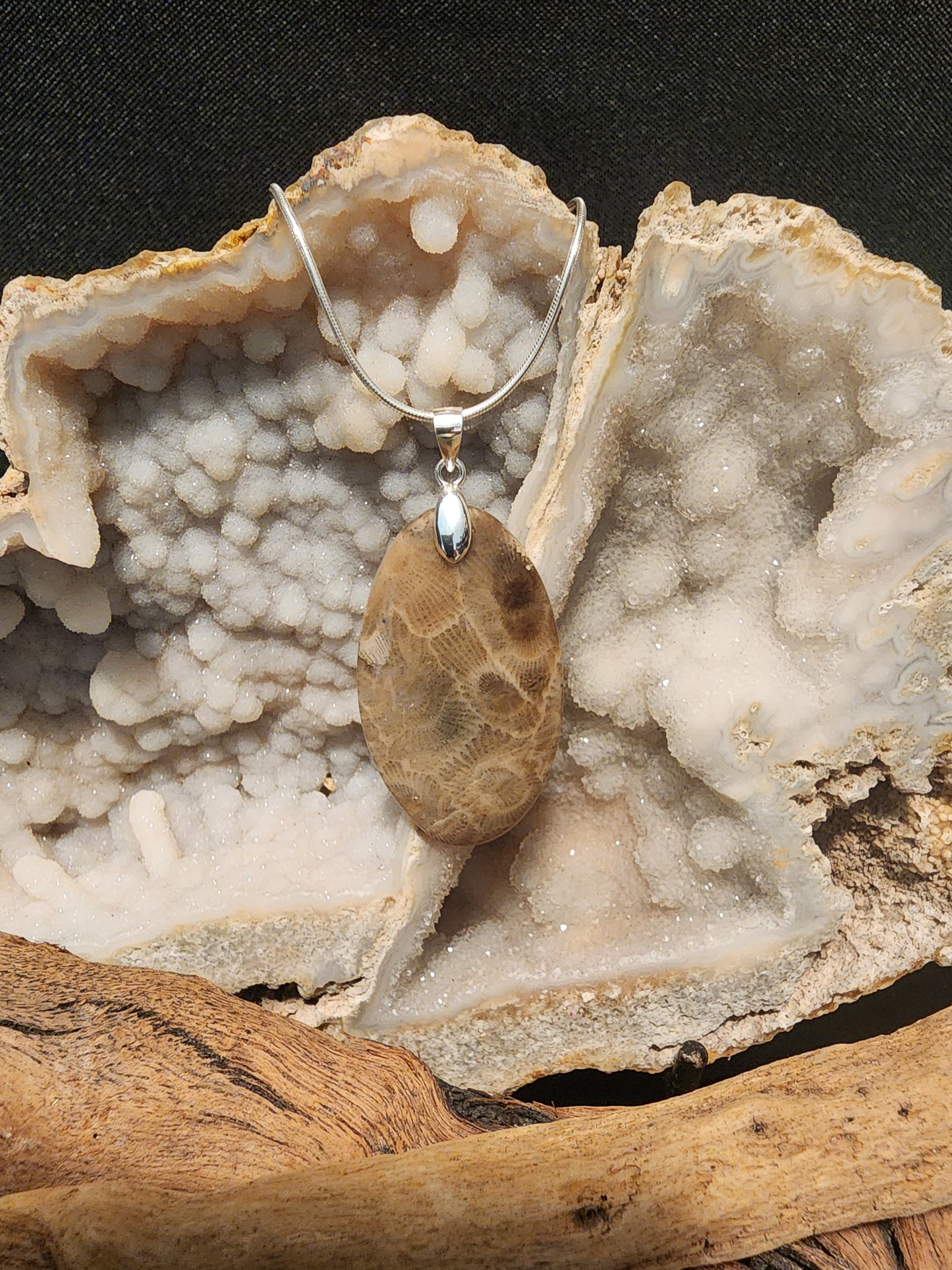 Petoskey Stone Pendant #120