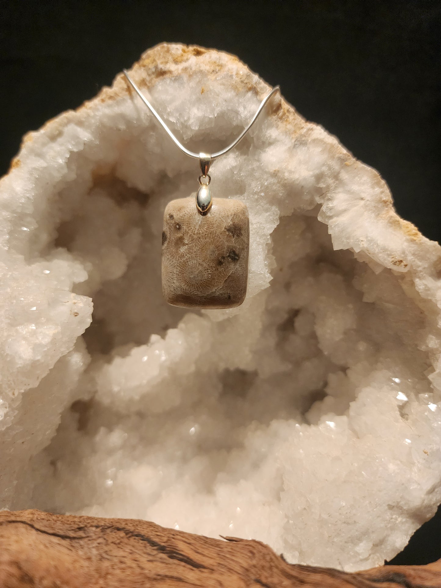 Petoskey Stone Pendant #43