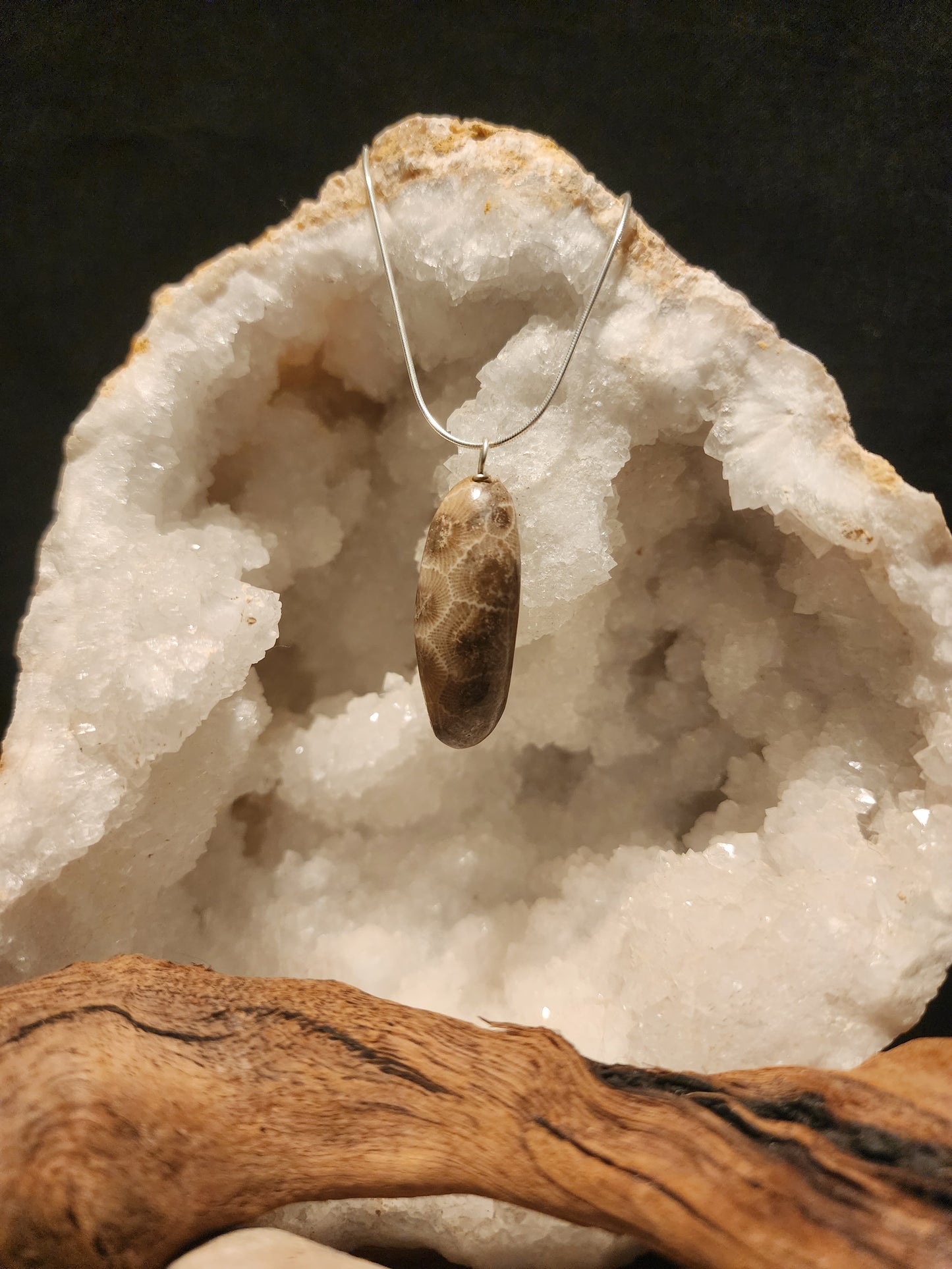 Petoskey Stone Pendant #29