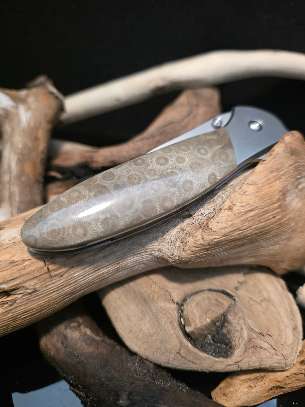 Petoskey Stone Kershaw Leek Folding Pocket Knife(Model 1660) #230