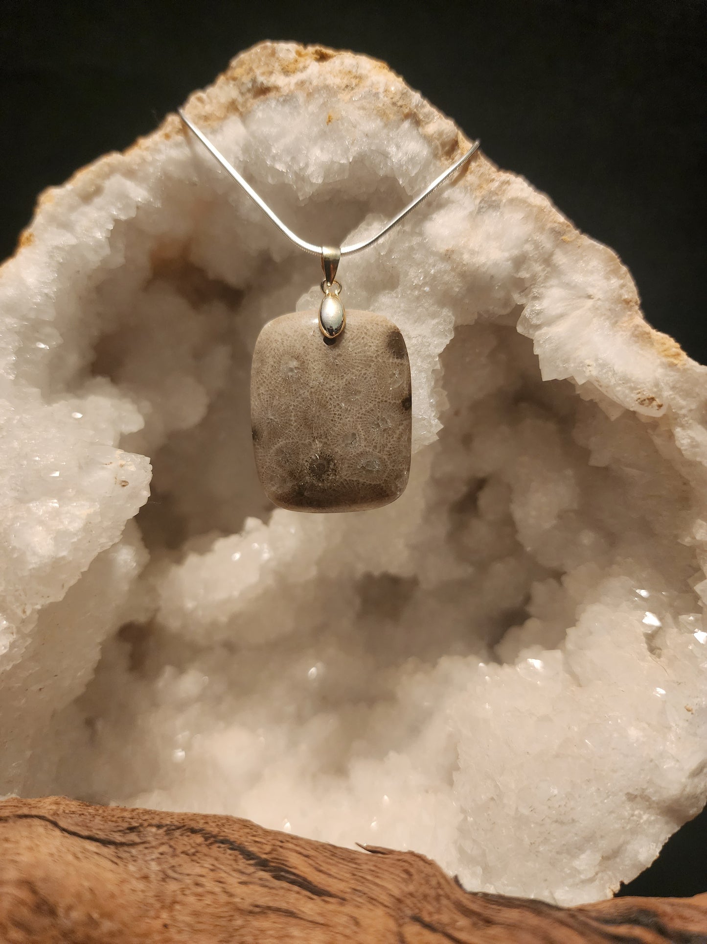 Petoskey Stone Pendant #46
