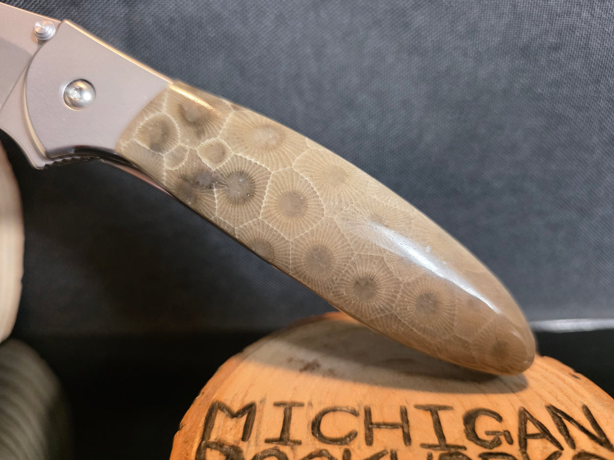 Petoskey Stone Kershaw Leek Folding Pocket Knife (Model 1660) #262