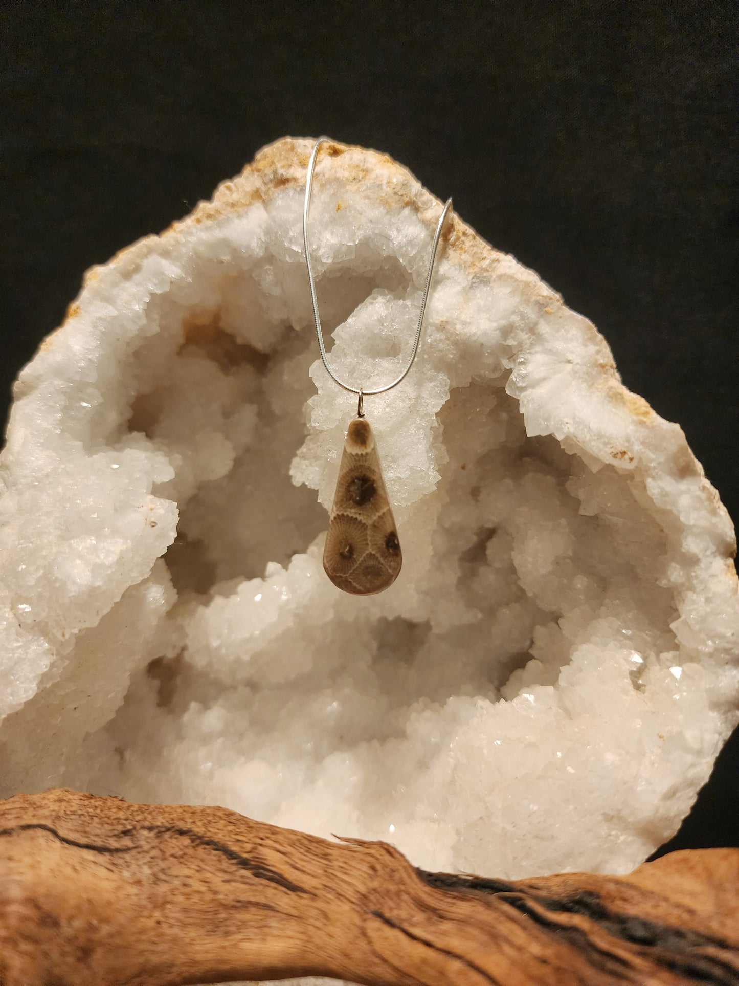 Petoskey Stone Pendant #30