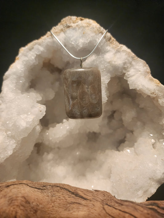 Petoskey Stone Pendant #49