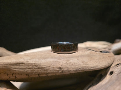 Utah Dinosaur Bone Titanium Channel Inlay Ring (Size 11.5) #241