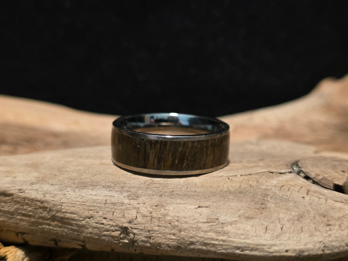 Michigan Petrified Wood Titanium Channel Inlay Ring (Size 11) #246