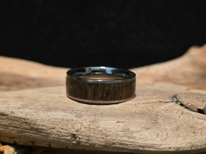 Michigan Petrified Wood Titanium Channel Inlay Ring (Size 11) #246