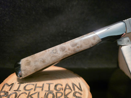 Petoskey Stone Kershaw Allegory Folding Pocket Knife (Model 4385) #249