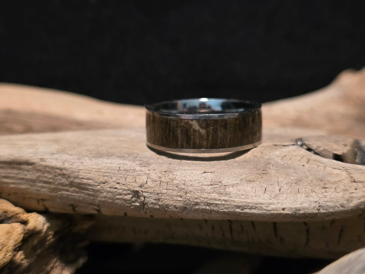 Michigan Petrified Wood Titanium Channel Inlay Ring (Size 11) #246