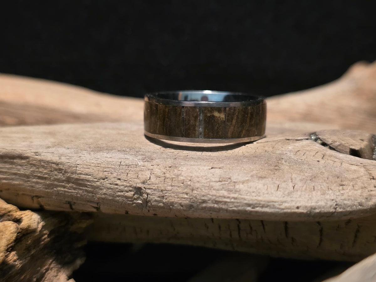 Michigan Petrified Wood Titanium Channel Inlay Ring (Size 11) #246