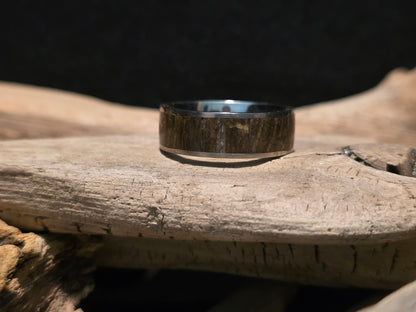 Michigan Petrified Wood Titanium Channel Inlay Ring (Size 11) #246
