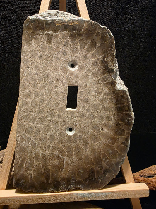 Petoskey Stone Switch Plate Cover #196