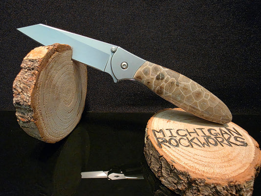 Petoskey Stone Kershaw Leek Random Pocket Knife (Model 1660R) #201
