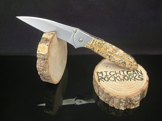 Yellow Leopardskin Jasper Kershaw Leek 1660 #3