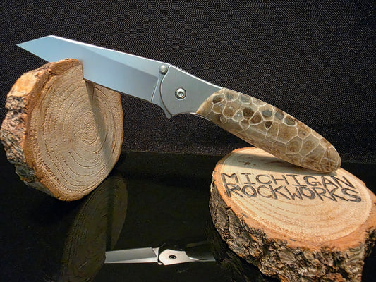 Petoskey Stone Kershaw Leek Random Pocket Knife (Model 1660R) #200