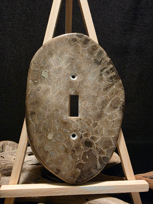 Petoskey Stone Switch Plate Cover #194