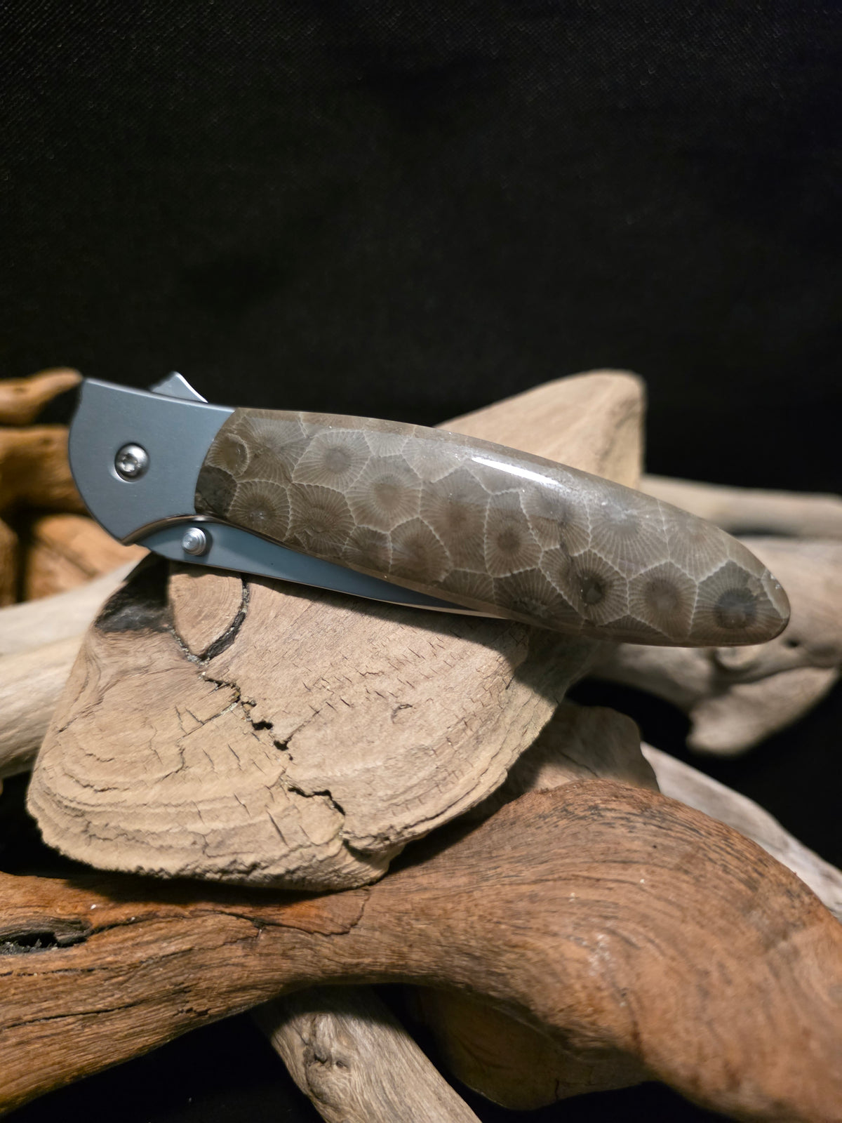 Petoskey Stone Kershaw Leek Folding Pocket Knife (Model 1660) #247
