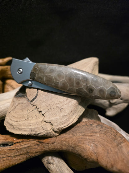 Petoskey Stone Kershaw Leek Folding Pocket Knife (Model 1660) #247