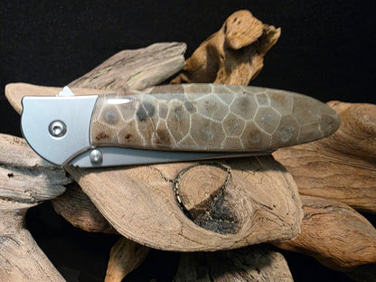 Petoskey Stone Kershaw Leek Random Pocket Knife (Model 1660R) #201