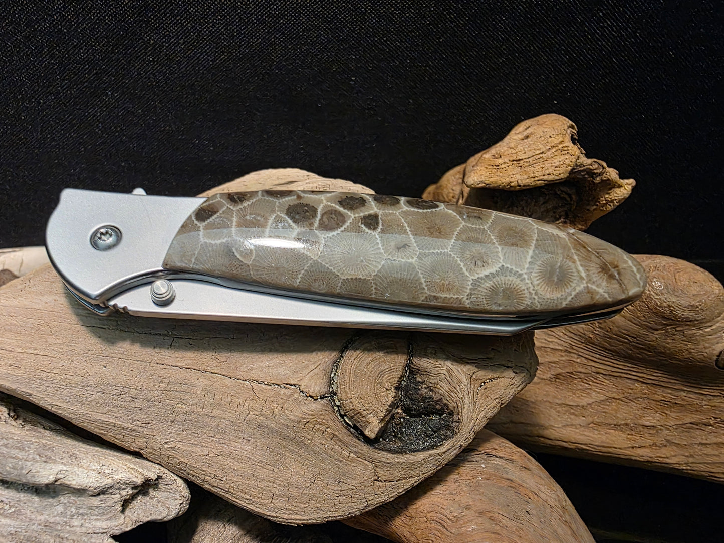 Petoskey Stone Kershaw Leek Random Pocket Knife (Model 1660R) #200