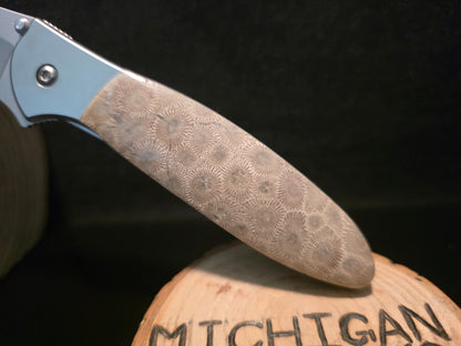 Petoskey Stone Kershaw Leek Folding Pocket Knife(Model 1660) #232