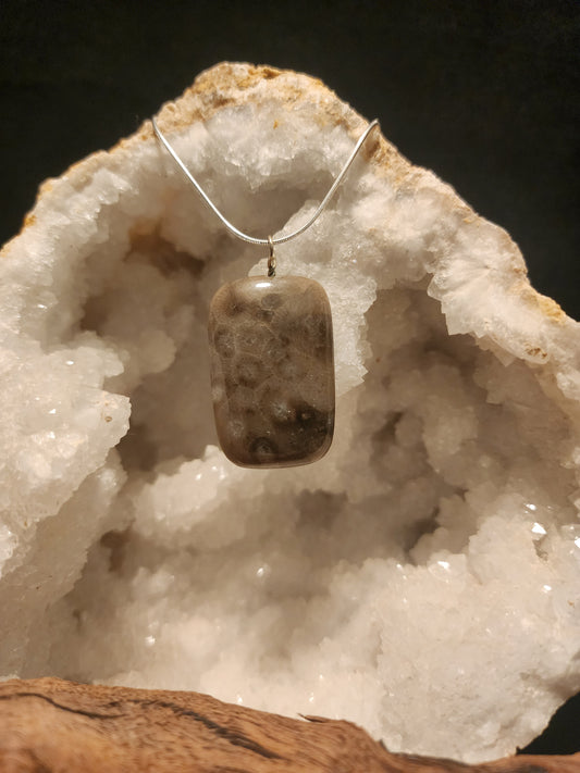Petoskey Stone Pendant #44