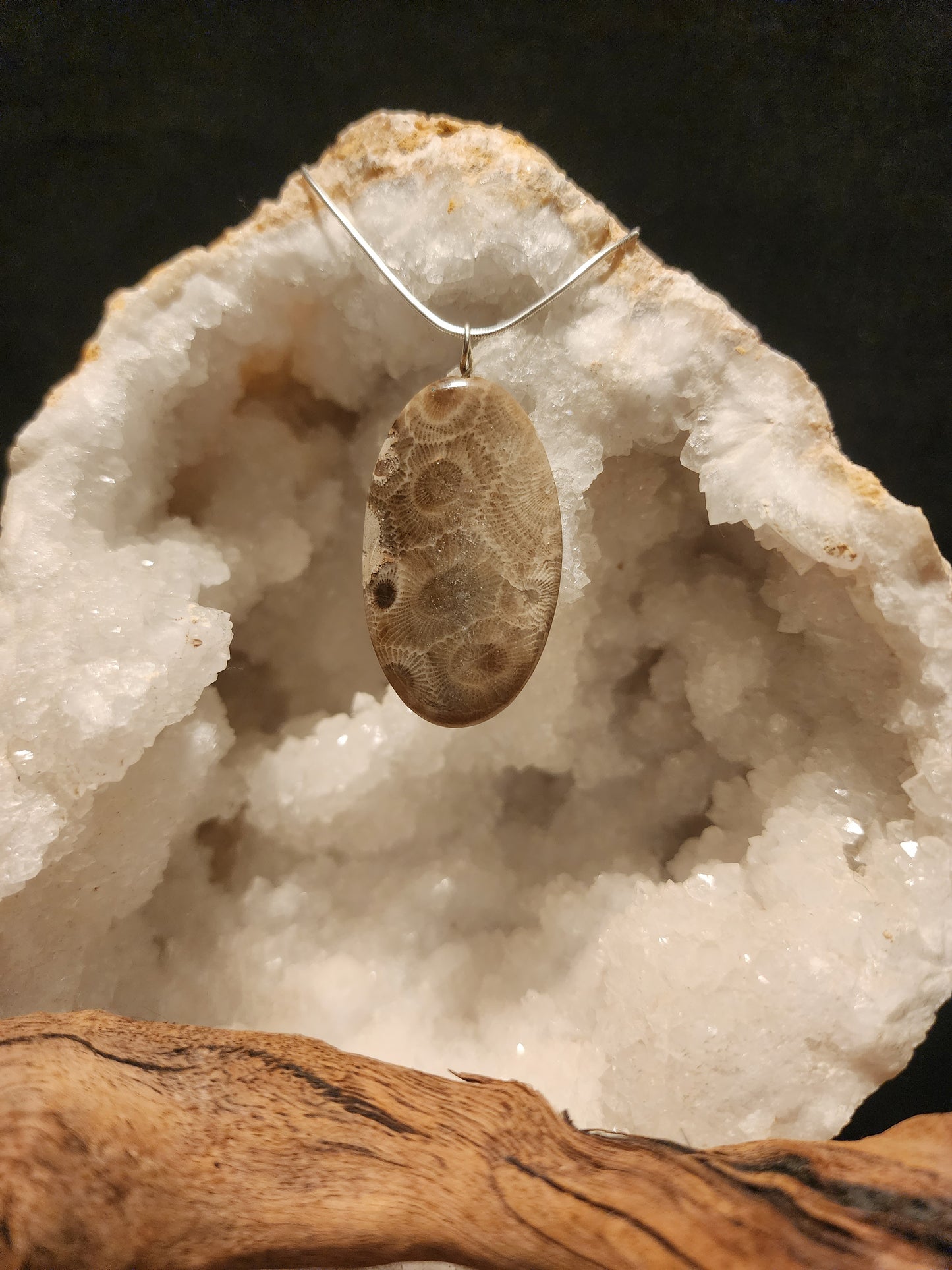 Petoskey Stone Pendant #33