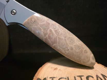 Petoskey Stone Kershaw Leek Folding Pocket Knife(Model 1660) #231