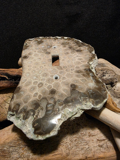 Petoskey Stone Single Switch Plate Cover #181