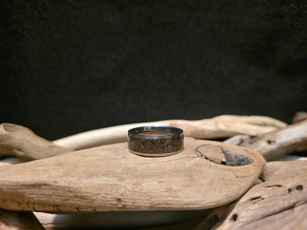 Utah Dinosaur Bone Titanium Channel Inlay Ring (Size 11.5) #241