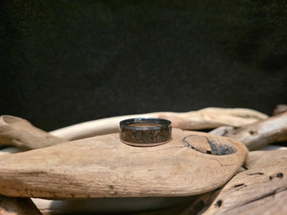 Utah Dinosaur Bone Titanium Channel Inlay Ring (Size 11.5) #241