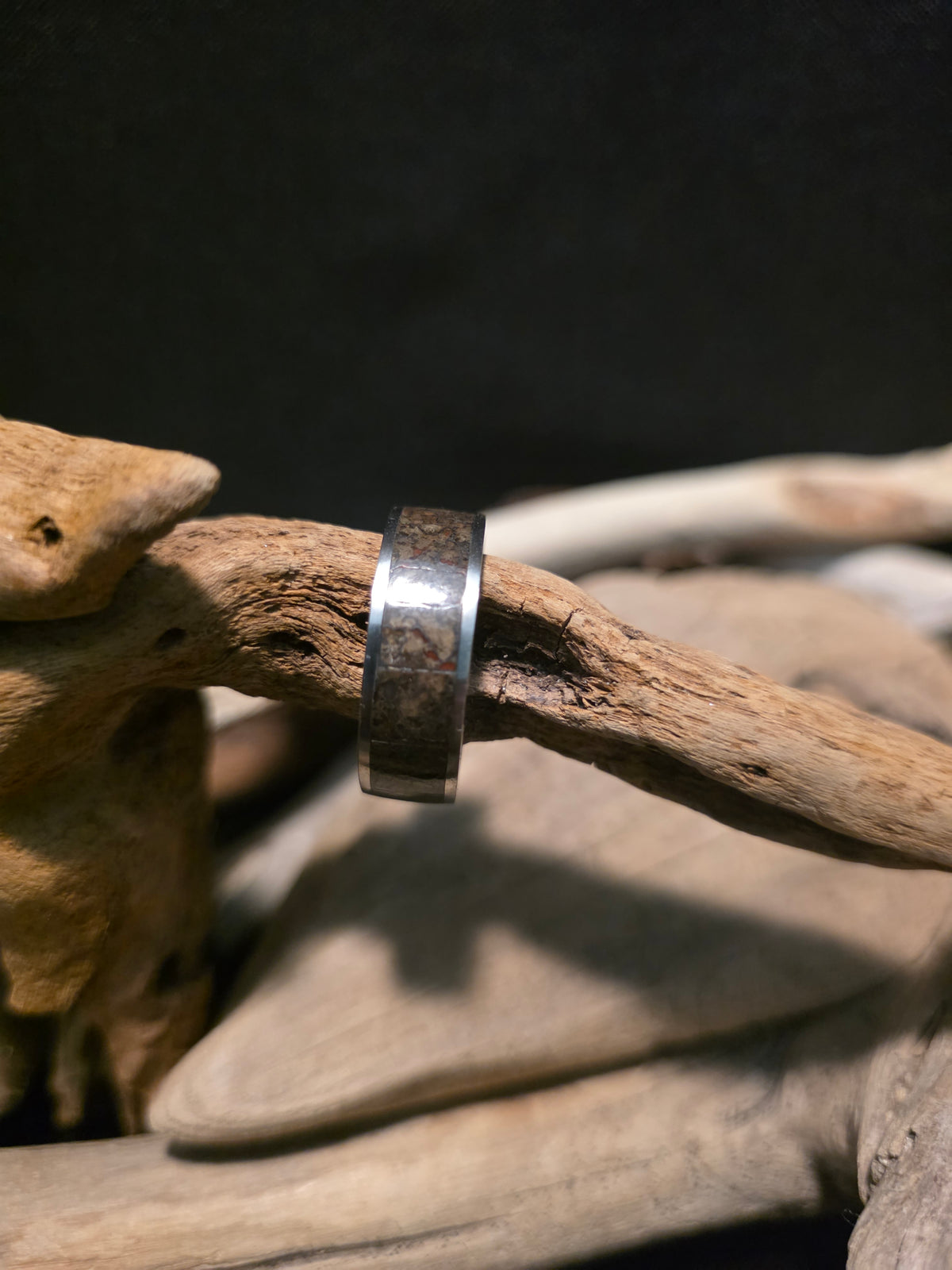 Utah Dinosaur Bone Titanium Channel Inlay Ring (Size 11.5) #241