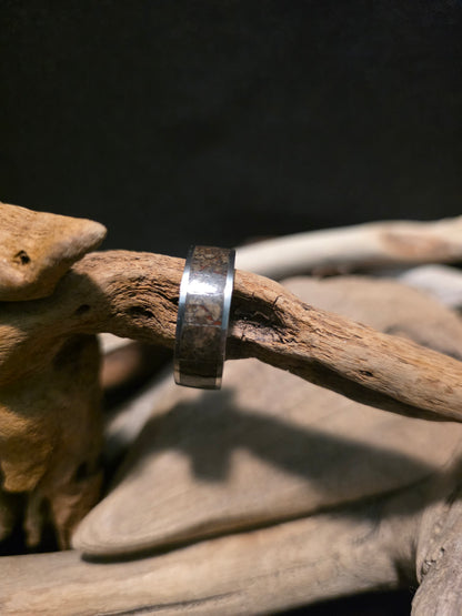 Utah Dinosaur Bone Titanium Channel Inlay Ring (Size 11.5) #241